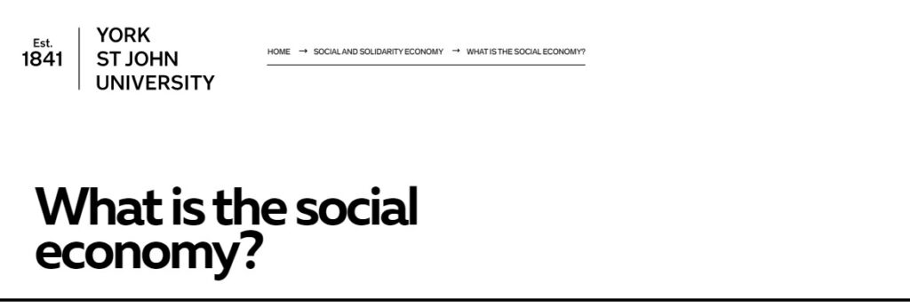 What is the social economy?