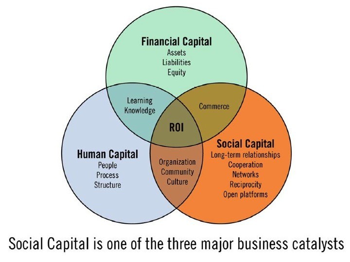 Social Capital is one of the Three Major Biz Catalysts, by Jay Palter, 2015-06