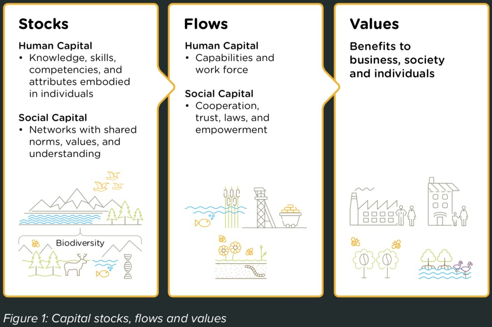 Figure 1: Capital stocks, flows and values 