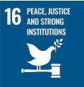 16 Peace, Justice and Strong Institutions