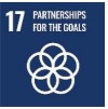 17 Partnerships for the Goals