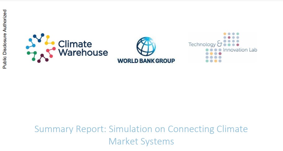Summary Report - Simulation on Connecting Climate Market System, 2019